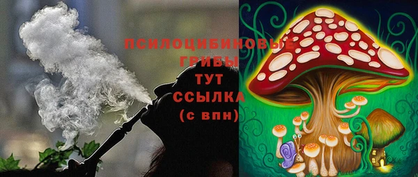 MESCALINE Богородицк